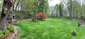 Grounds_2     
